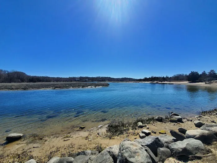 West Meadow Wetlands Reserve Picture 10
