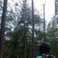 Hard Estate-West Sayville County Park ico