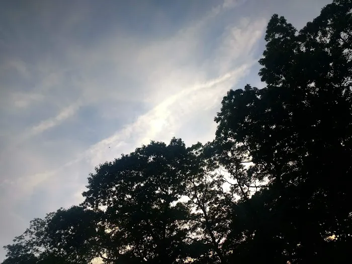 Hard Estate-West Sayville County Park Picture 3