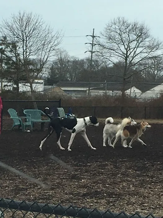 Cherry Avenue Dog Park Picture 2