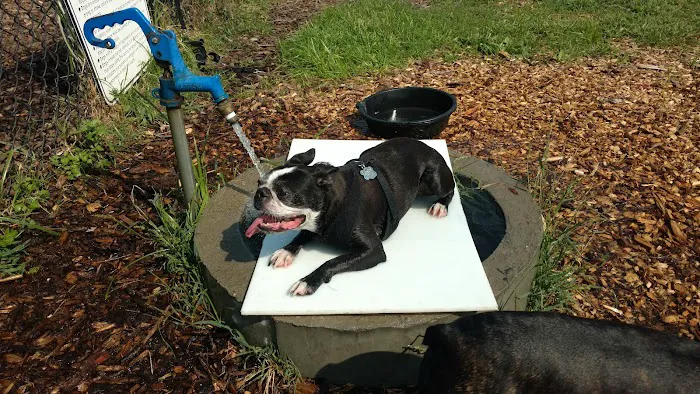 Cherry Avenue Dog Park Picture 5