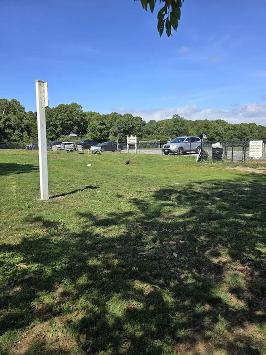 Cherry Avenue Dog Park Picture 4