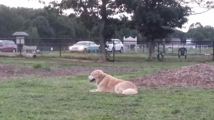 Cherry Avenue Dog Park Picture 7