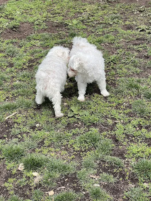 Cherry Avenue Dog Park Picture 10