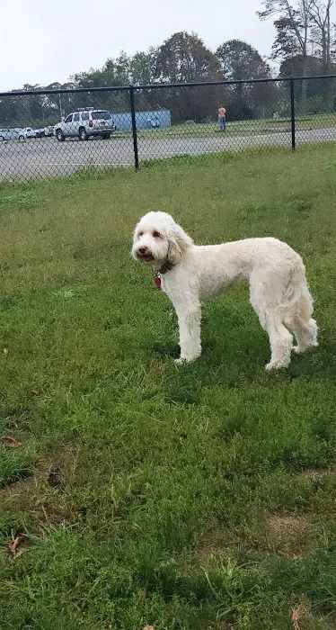 Cherry Avenue Dog Park Picture 9