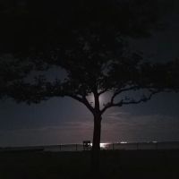Walker Park ico