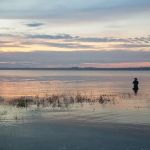 Long Island South Shore Estuary Reserve
