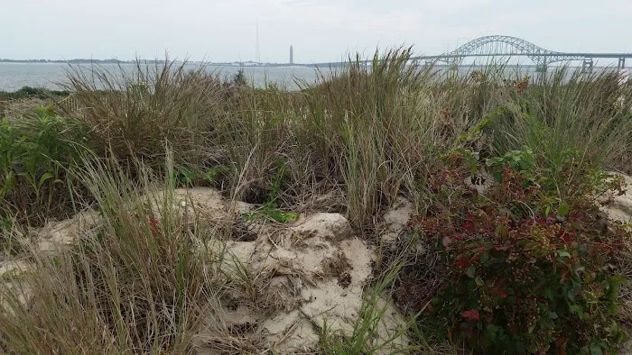 Long Island South Shore Estuary Reserve Picture 6
