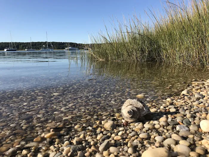 Long Island South Shore Estuary Reserve Picture 5