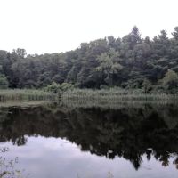 Butterfly Park ico