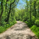 Belmont Lake State Park