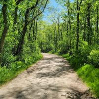 Belmont Lake State Park ico