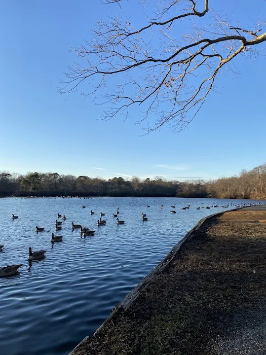Belmont Lake State Park Picture 3
