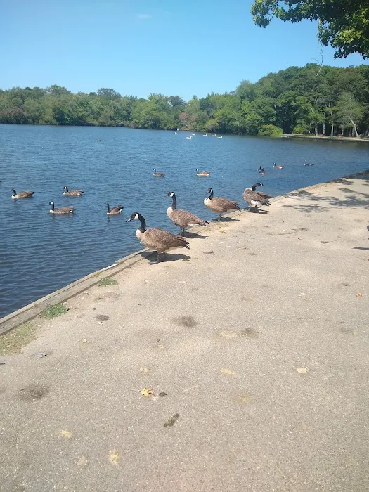 Belmont Lake State Park Picture 6
