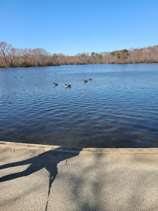 Belmont Lake State Park Picture 8