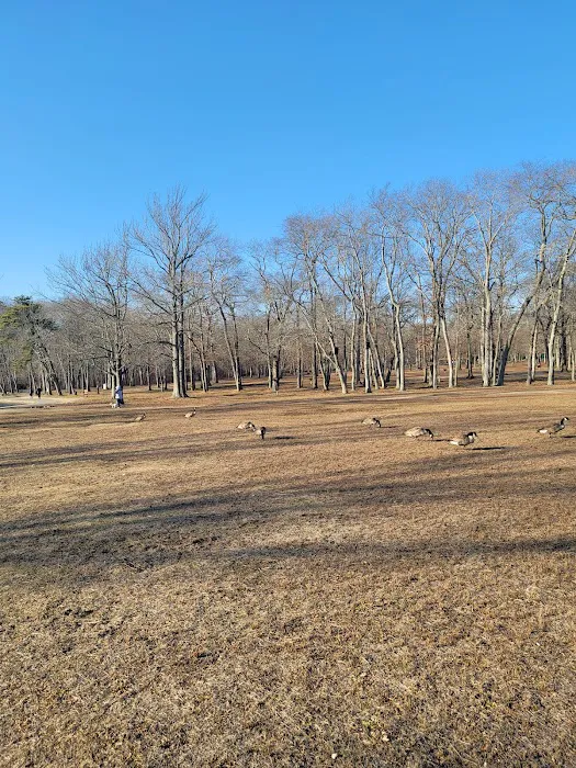 Belmont Lake State Park Picture 10