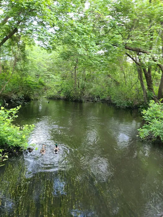 Southards Pond Park Picture 5