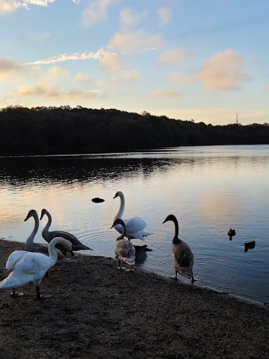 Southards Pond Park Picture 6
