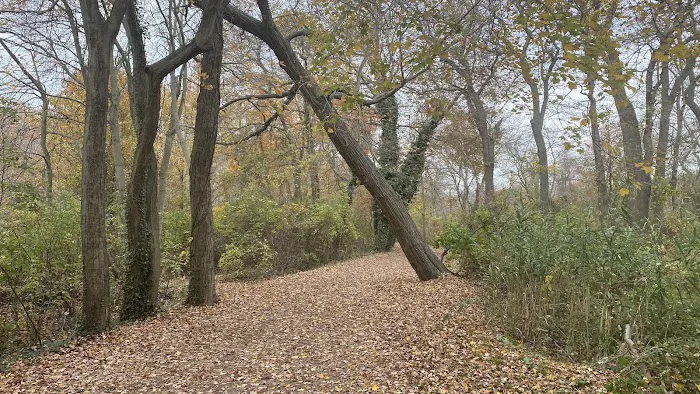 Southards Pond Park Picture 9