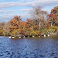 Babylon Park Ave Tennis Courts and Trails ico