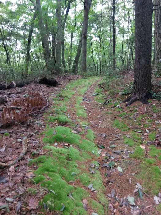 Edwin and Gertrude Grace Nature Preserve Picture 2