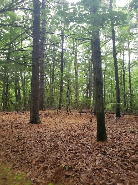 Edwin and Gertrude Grace Nature Preserve Picture 3