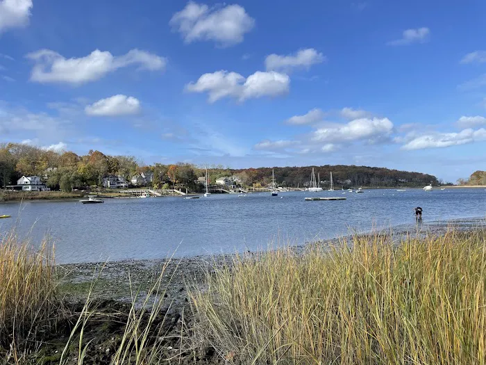 Phragmites Park Picture 3