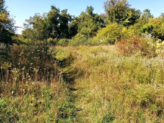 Carpenter Farm Park Picture 3
