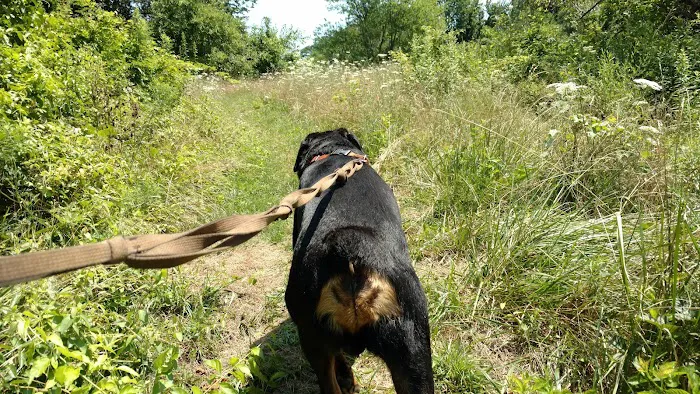 Carpenter Farm Park Picture 1