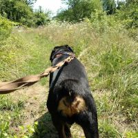 Carpenter Farm Park ico