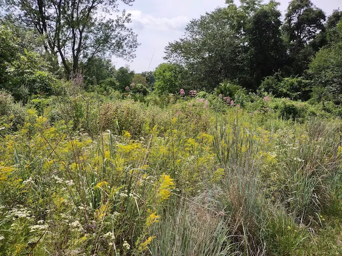 Carpenter Farm Park Picture 9
