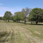 Fair Meadow Park
