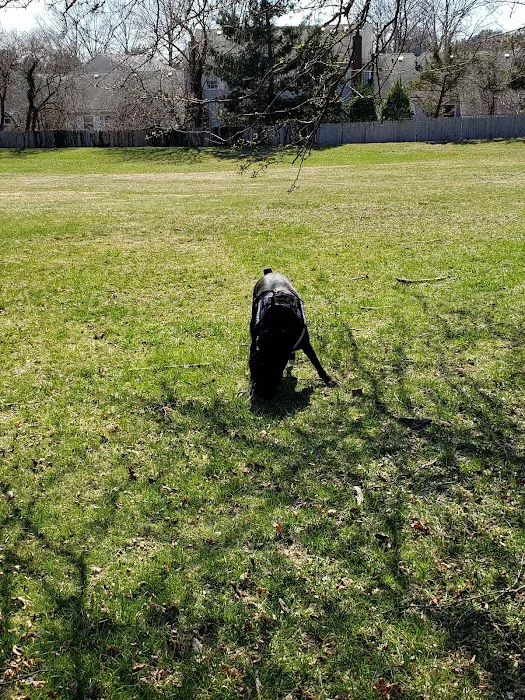 Fair Meadow Park Picture 10