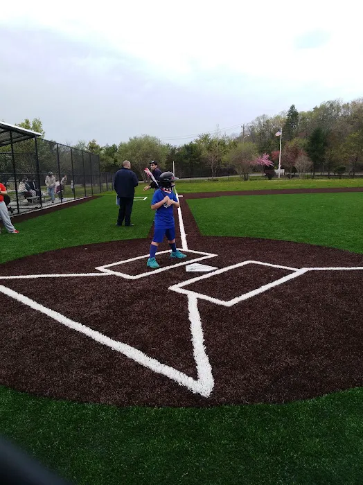 The Rose Carracappa Baseball Field Picture 2