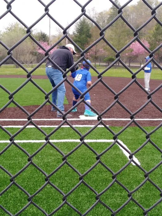 The Rose Carracappa Baseball Field Picture 4