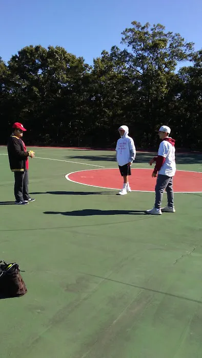 The Rose Carracappa Baseball Field Picture 9