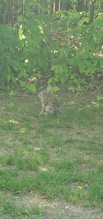 Iroquois Avenue Park Picture 3