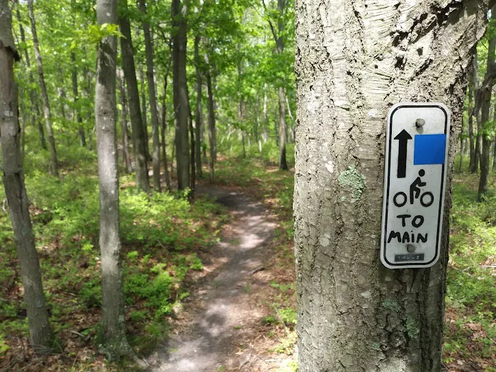 Glacier Ridge Bike Trail Picture 3