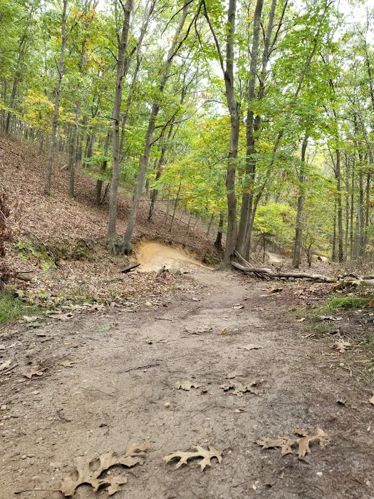 Glacier Ridge Bike Trail Picture 1