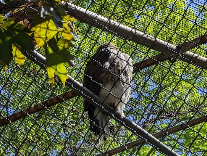 Brookhaven Ecology Site Picture 7
