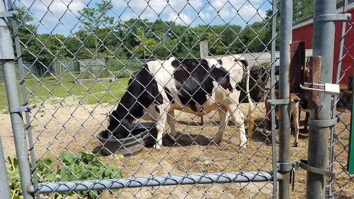 Holtsville animal park Picture 3