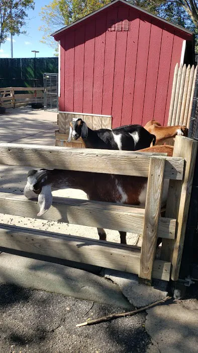 Holtsville animal park Picture 4