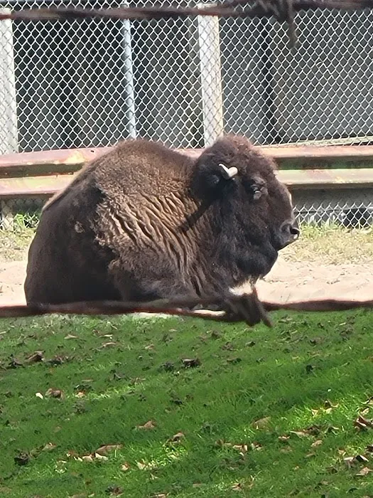Holtsville animal park Picture 6