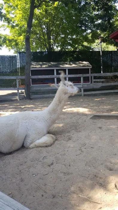 Holtsville animal park Picture 10