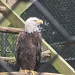 Holtsville Wildlife & Ecology Center