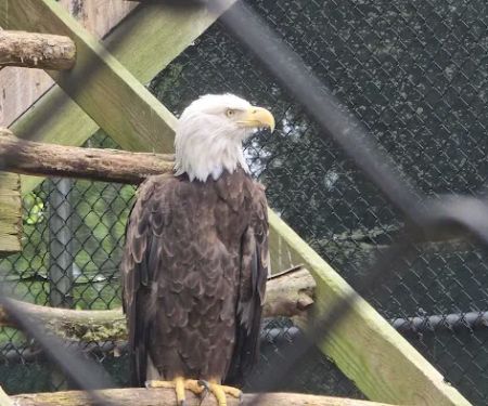 Holtsville Wildlife & Ecology Center