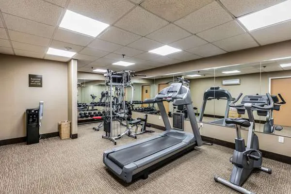 Comfort Inn Medford-Long Island Picture 4