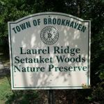 Laurel Ridge Setauket Woods Nature Preserve