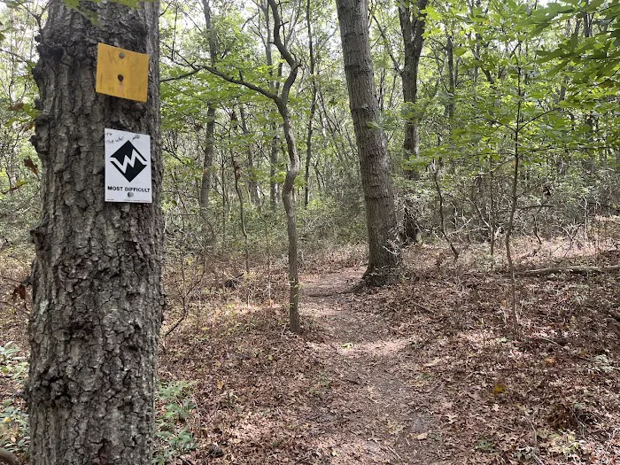 Laurel Ridge Setauket Woods Nature Preserve Picture 2
