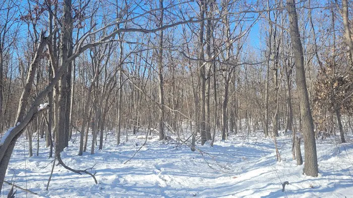 Laurel Ridge Setauket Woods Nature Preserve Picture 6